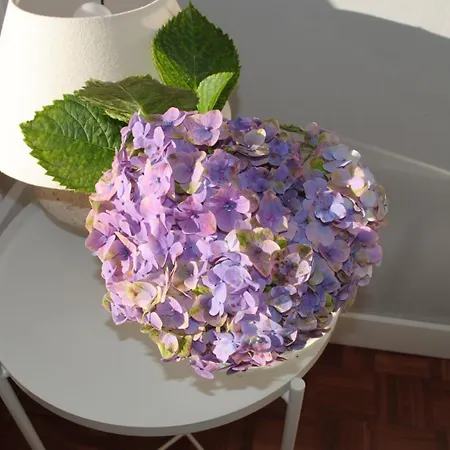 Sea House Apartamento