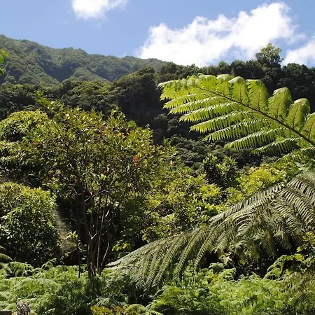 Sea House Apartment *